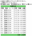 6月28日阪神競馬場と函館競馬場ワイド馬券買い目